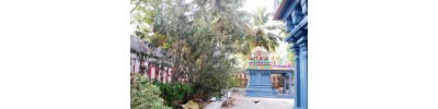126. திருகருவிலி கொட்டிடை